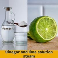 vinegar and lime solution steam