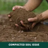 compacted soil issue