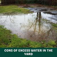 cons of excess water in the yard