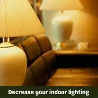 decrease your indoor lighting