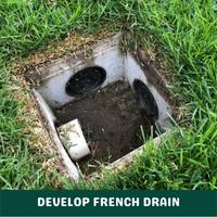 develop french drain