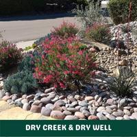 dry creek & dry well