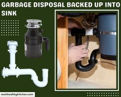 garbage disposal backed up into sink 2022