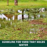 guideline for yard that holds water
