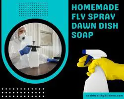 homemade fly spray dawn dish soap 2022