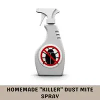 homemade killer dust mite spray