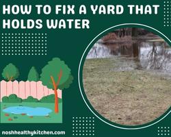 how to fix a yard that holds water 2022