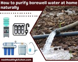 how to purify borewell water at home naturally 2022