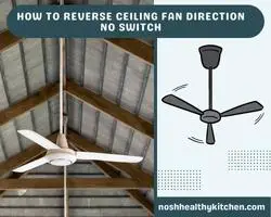 how to reverse ceiling fan direction no switch 2022