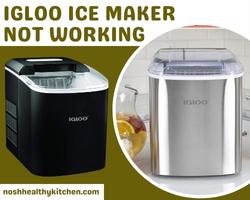 igloo ice maker not working 2022