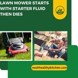 lawn mower starts with starter fluid then dies