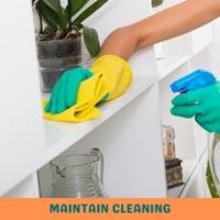 maintain cleaning