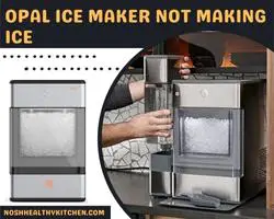 opal ice maker not making ice 2022