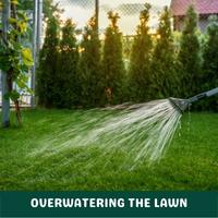 overwatering the lawn