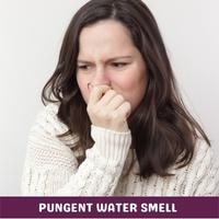 pungent water smell