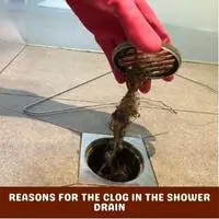 reasons for the clog in the shower drain