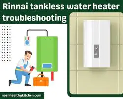 rinnai tankless water heater troubleshooting 2022