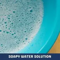 soapy water solution
