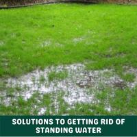 solutions to getting rid of standing water