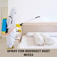 spray for bedsheet dust mites