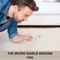 the micro world around you