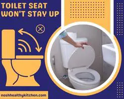 toilet seat won't stay up 2022