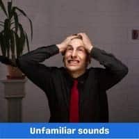 unfamiliar sounds