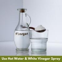 use hot water & white vinegar spray