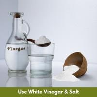 use white vinegar & salt