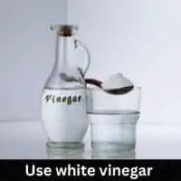 use white vinegar