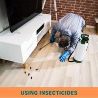 using insecticides
