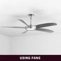 using fans