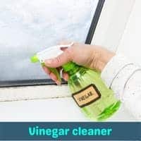 vinegar cleaner