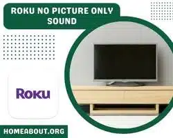 roku no picture only sound