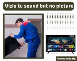 vizio tv sound but no picture